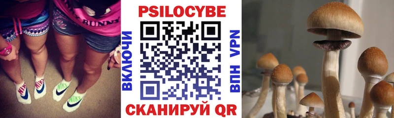 Купить закладки  Краснодар  Галлюциногенные грибы ЛСД 